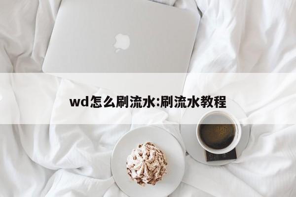wd怎么刷流水:刷流水教程