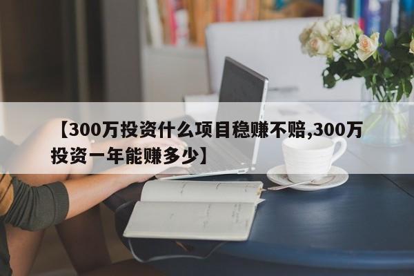 【300万投资什么项目稳赚不赔,300万投资一年能赚多少】