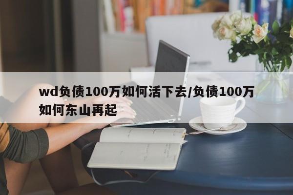 wd负债100万如何活下去/负债100万如何东山再起