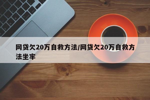 网贷欠20万自救方法/网贷欠20万自救方法坐牢