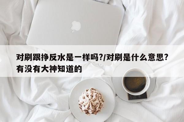 对刷跟挣反水是一样吗?/对刷是什么意思?有没有大神知道的