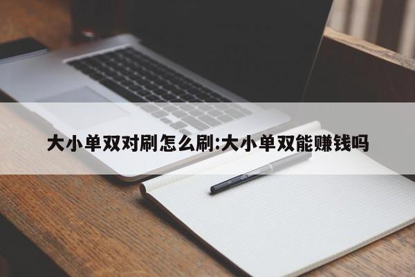 大小单双对刷怎么刷:大小单双能赚钱吗
