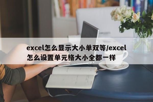 excel怎么显示大小单双等/excel怎么设置单元格大小全都一样