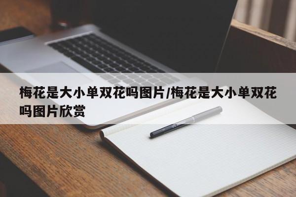 梅花是大小单双花吗图片/梅花是大小单双花吗图片欣赏