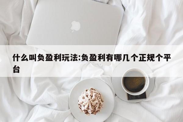 什么叫负盈利玩法:负盈利有哪几个正规个平台