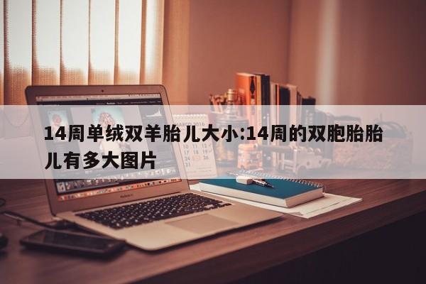 14周单绒双羊胎儿大小:14周的双胞胎胎儿有多大图片