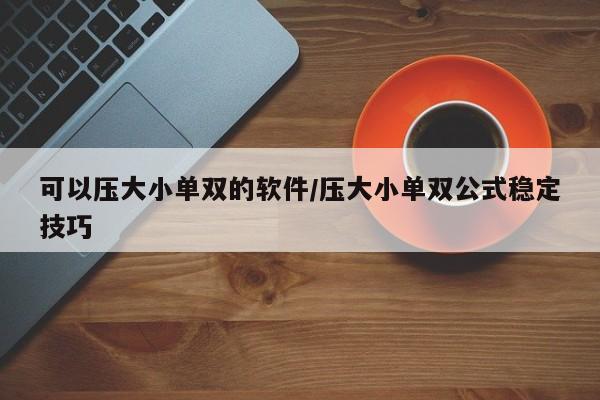 可以压大小单双的软件/压大小单双公式稳定技巧